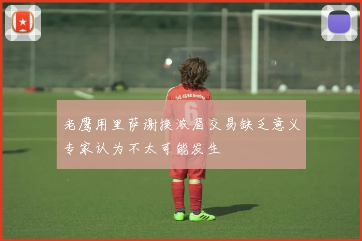 老鹰用里萨谢换浓眉交易缺乏意义专家认为不太可能发生