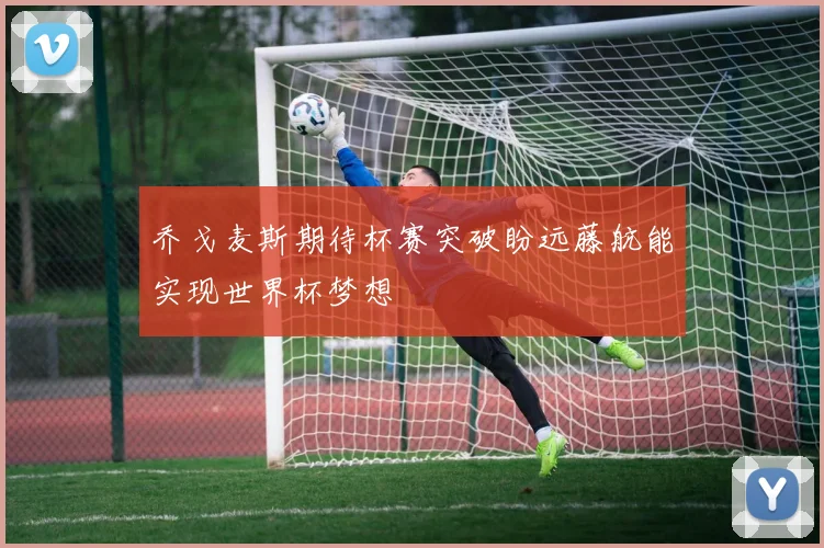 乔戈麦斯期待杯赛突破盼远藤航能实现世界杯梦想